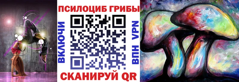 Псилоцибиновые грибы Psilocybe  Кандалакша 
