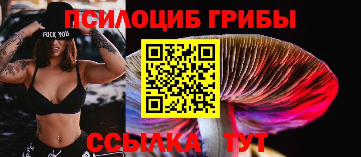 Псилоцибиновые грибы Magic Shrooms  Галлюциногенные грибы Psilocybine cubensis  Кандалакша  дарнет шоп  Вход с VPN 