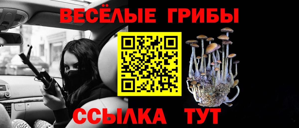 Псилоцибиновые грибы Psilocybine cubensis Кандалакша